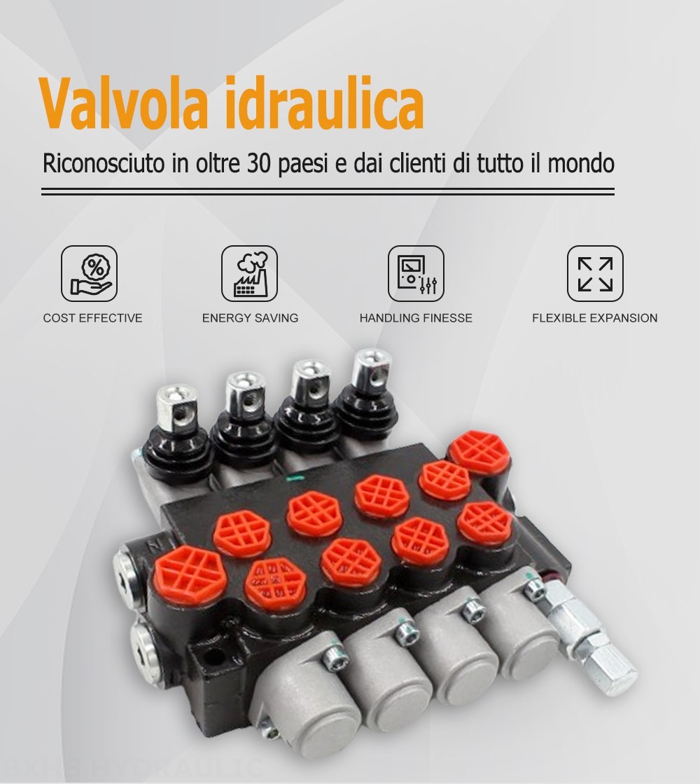 P40-G12-G38-OT Manuale 4 Spool Valvola direzionale monoblocco