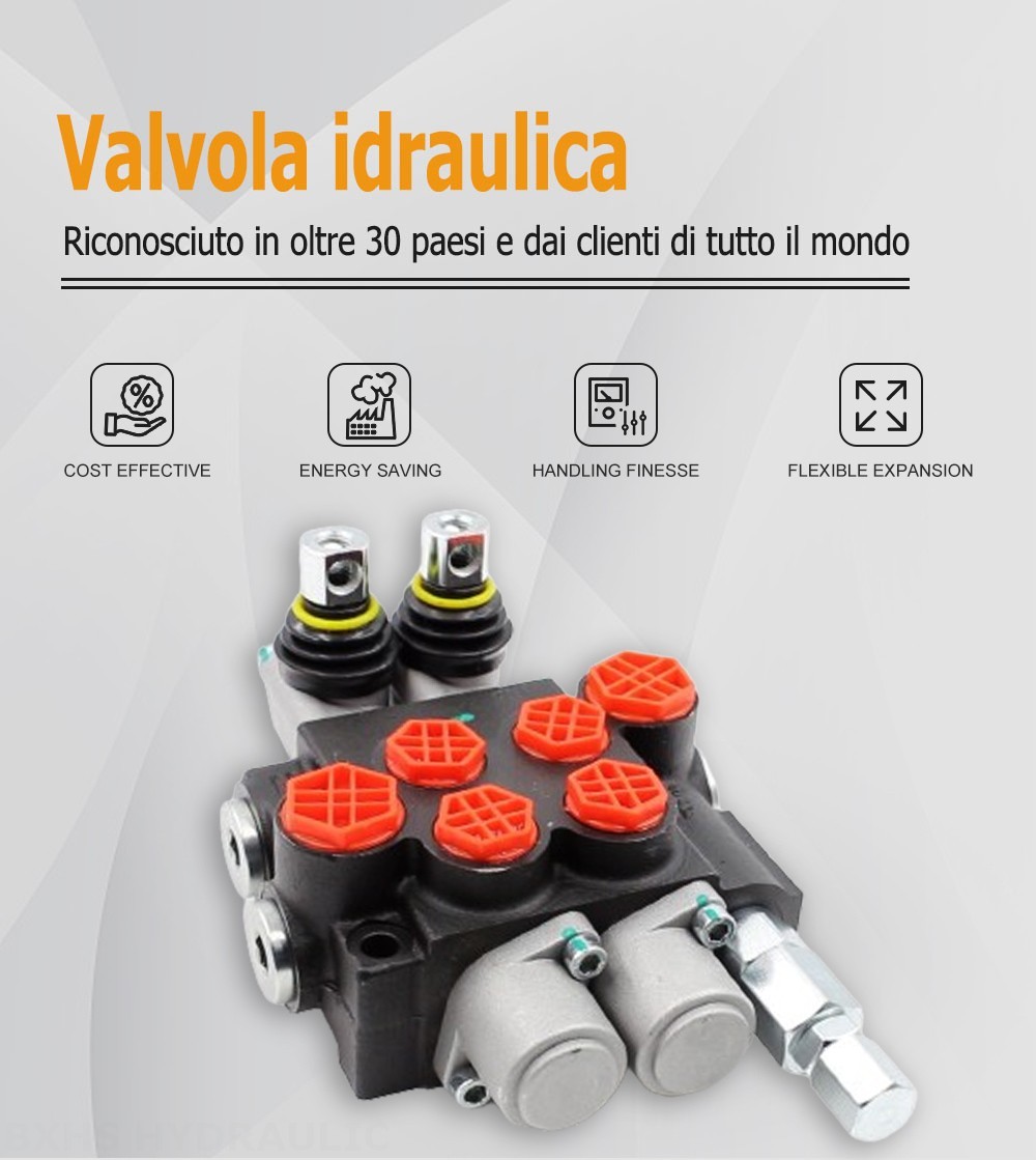 P40-G12-G38-OW Manuale 2 Spool Valvola direzionale monoblocco