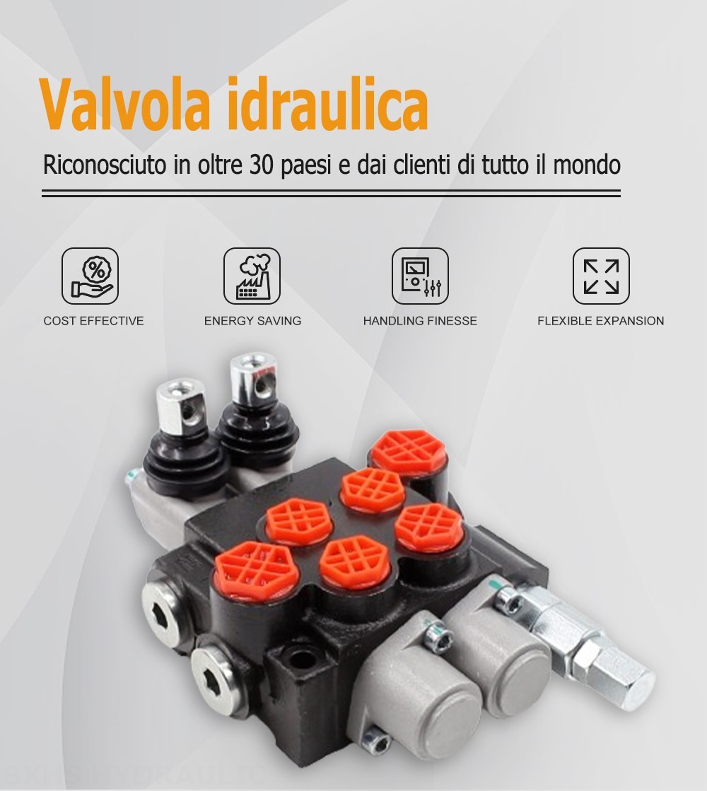 P40-G12-G38 Manuale 2 Spool Valvola direzionale monoblocco