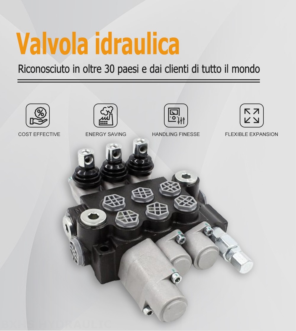 P40-G12-G38 Manuale 3 Spool Valvola direzionale monoblocco