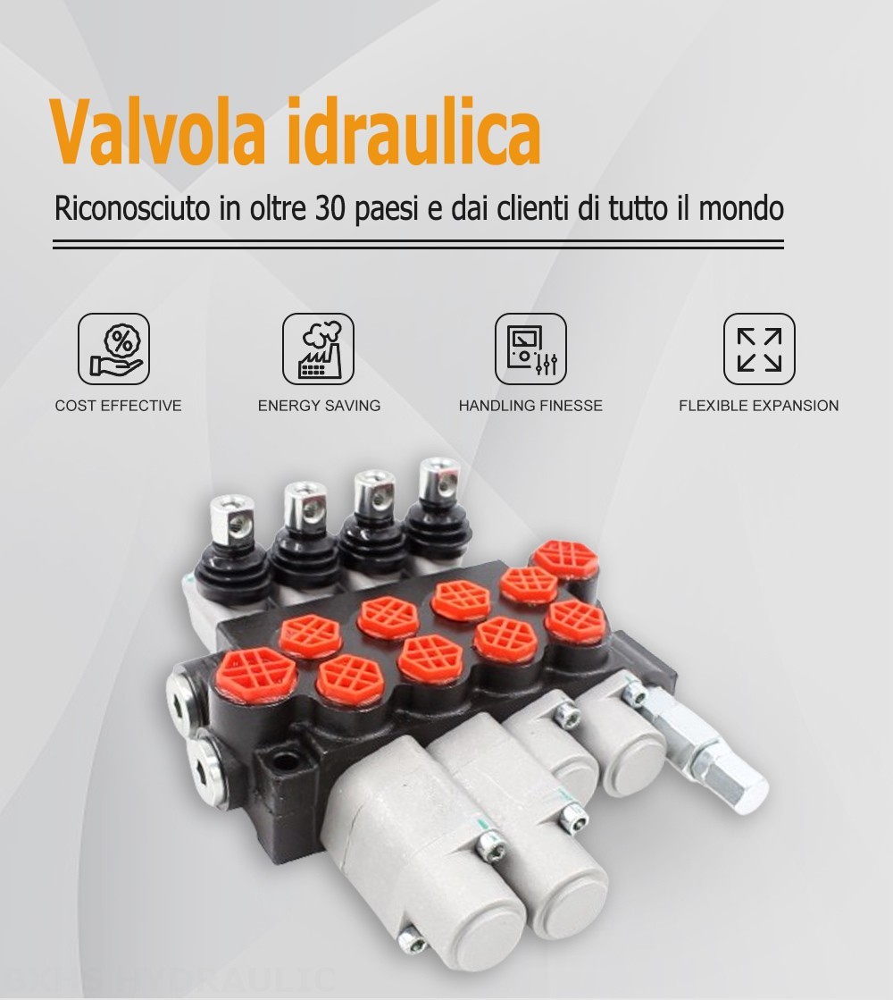 P40-G12-G38 Manuale 4 Spool Valvola direzionale monoblocco