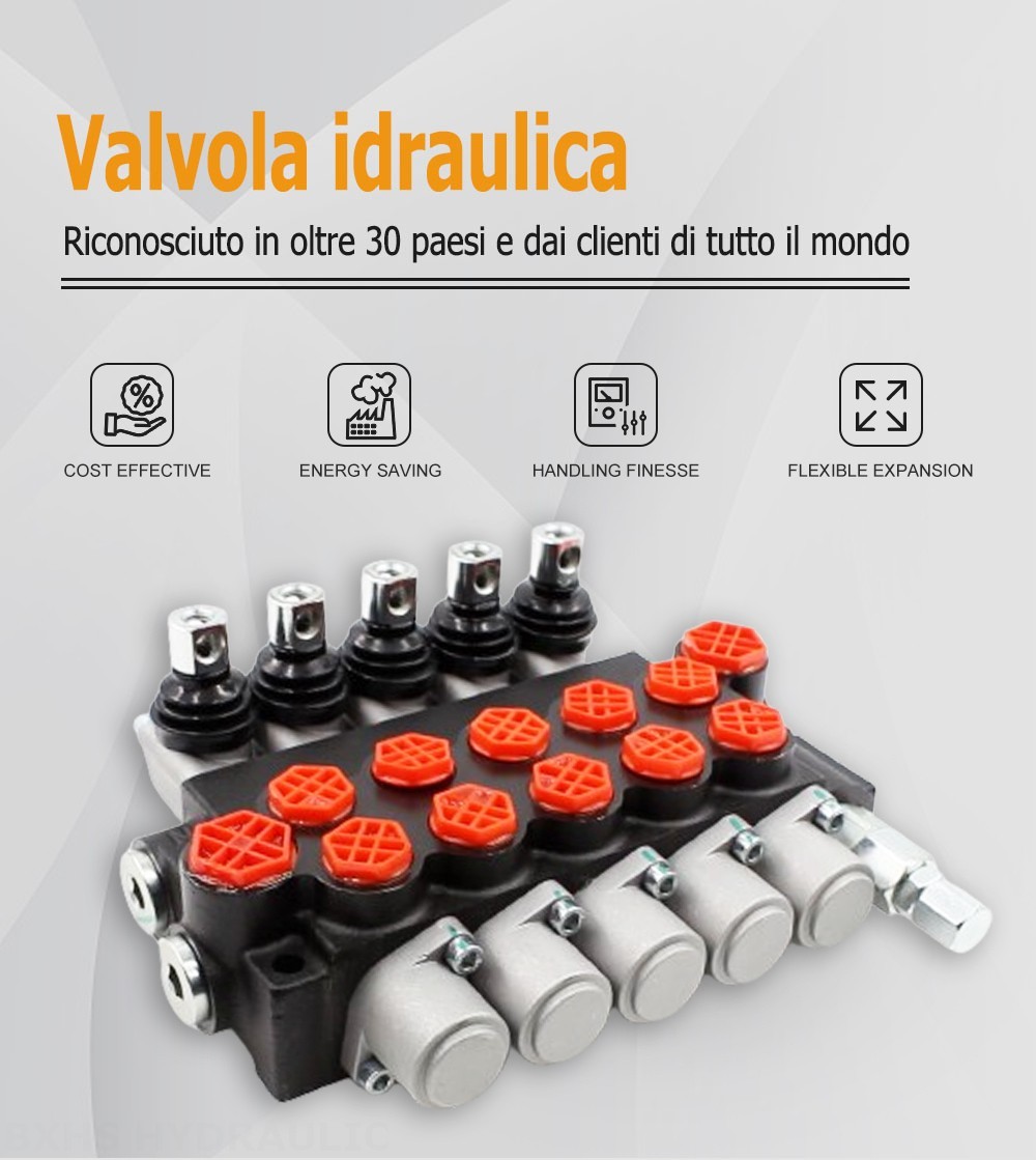 P40-G12-G38 Manuale 5 Spool Valvola direzionale monoblocco