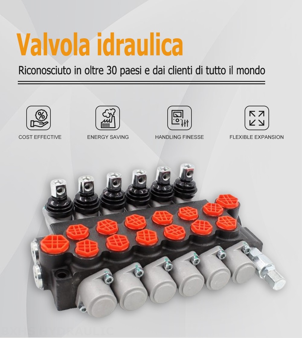 P40-G12-G38 Manuale 6 Spool Valvola direzionale monoblocco