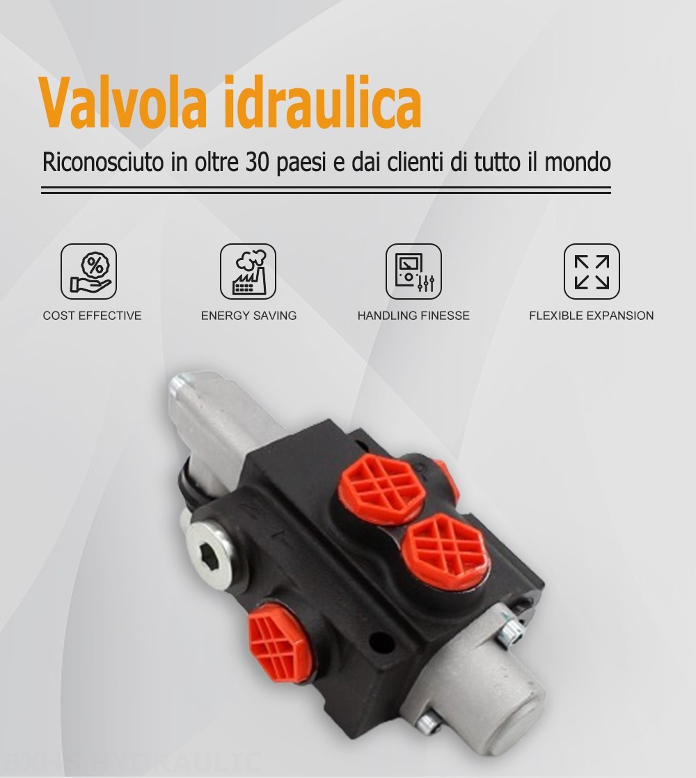 P40-G12-OT Manuale 1 Spool Valvola direzionale monoblocco