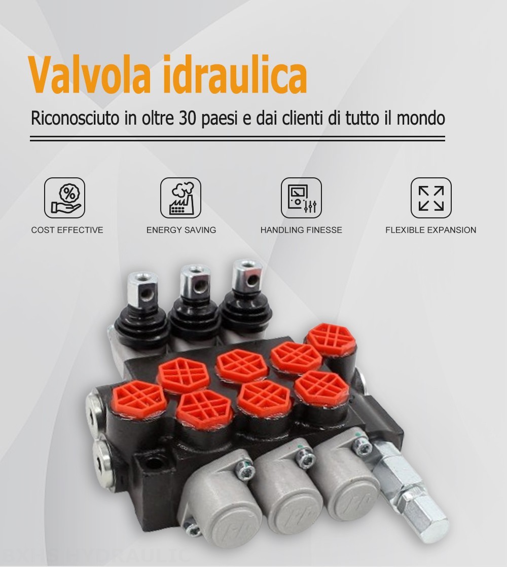 P40-G12-OT Manuale 3 Spool Valvola direzionale monoblocco