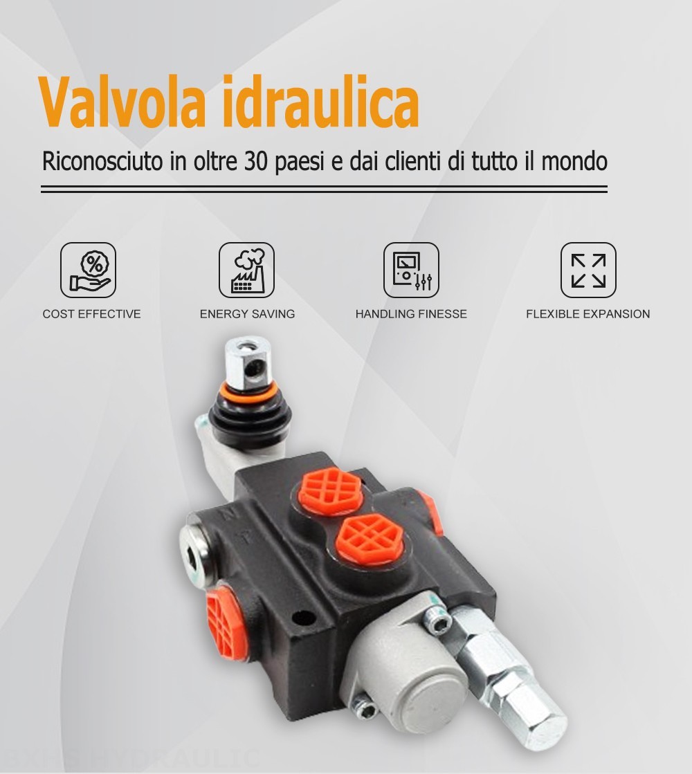 P40-G12-YW Manuale 1 Spool Valvola direzionale monoblocco