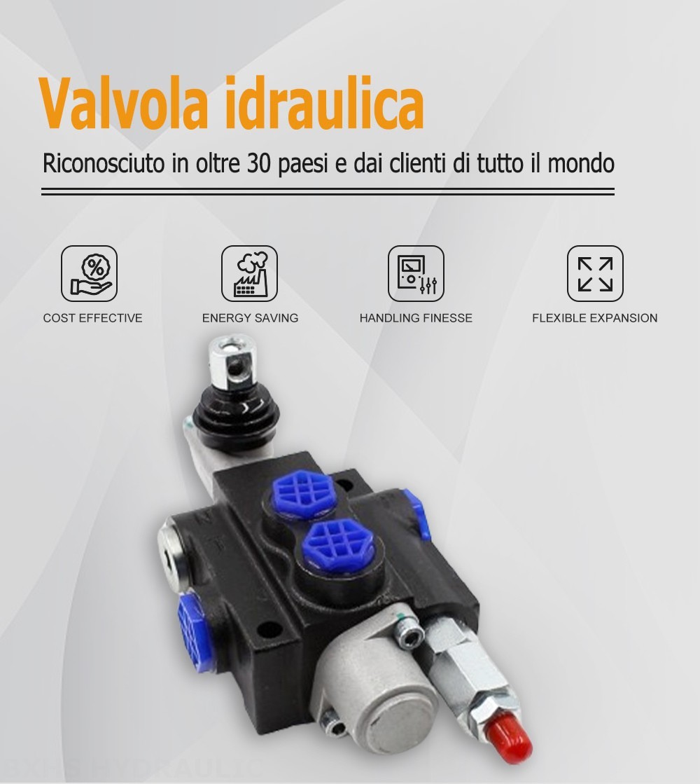 P40-G12 Manuale 1 Spool Valvola direzionale monoblocco