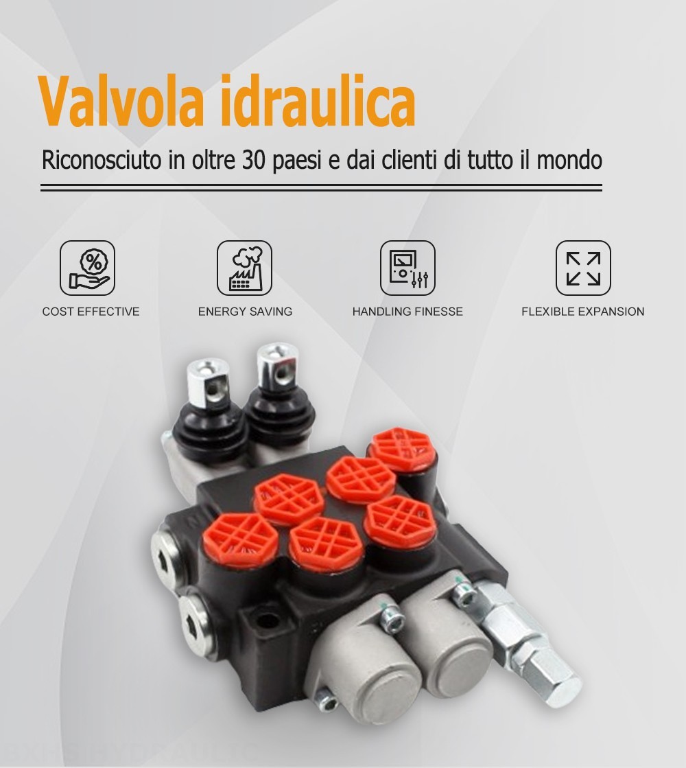 P40-G12 Manuale 2 Spool Valvola direzionale monoblocco