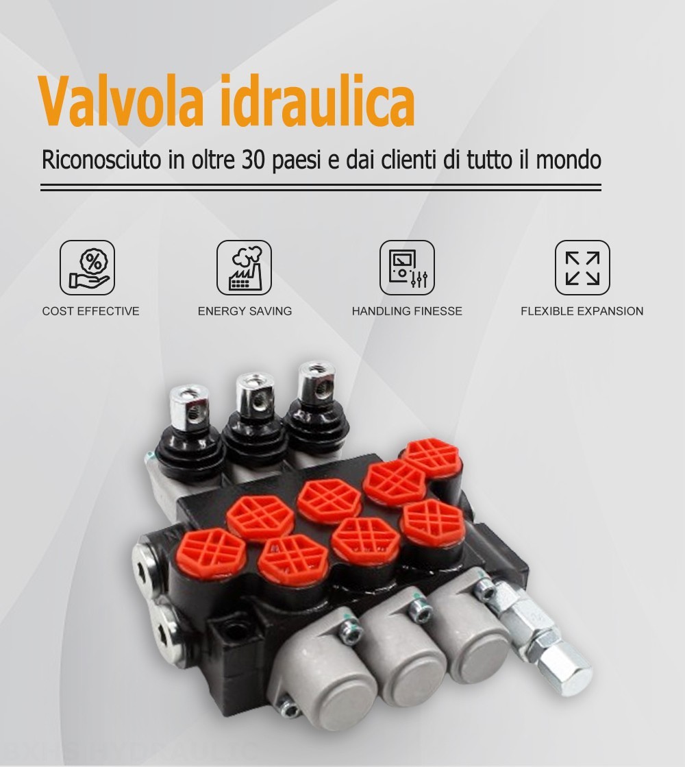 P40-G12 Manuale 3 Spool Valvola direzionale monoblocco