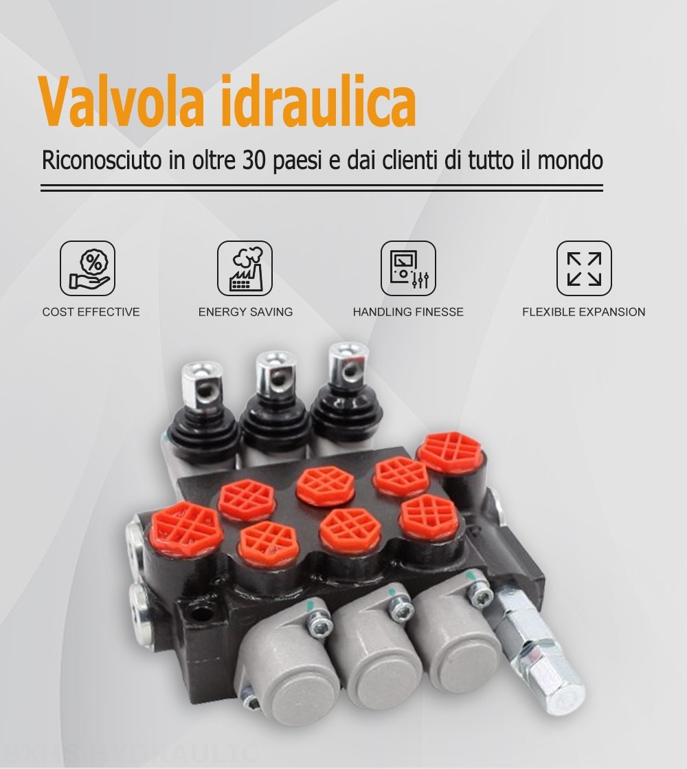 P40-G38-G12-OT-OT-OT Manuale 3 Spool Valvola direzionale monoblocco