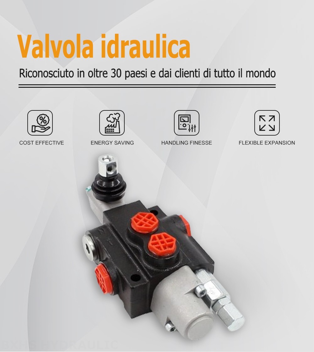 P40-G38-OT Manuale 1 Spool Valvola direzionale monoblocco