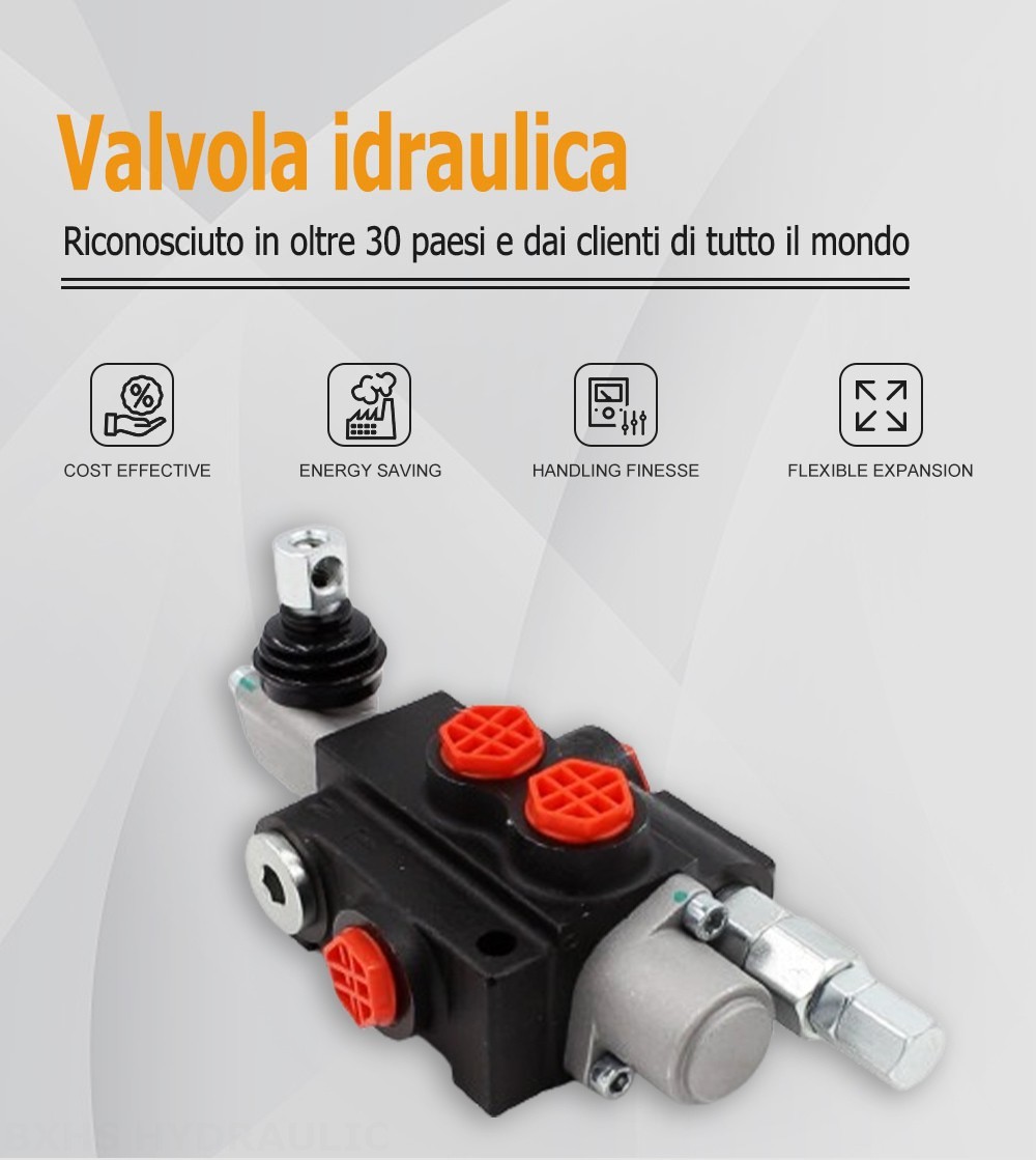 P40-G38 Manuale 1 Spool Valvola direzionale monoblocco