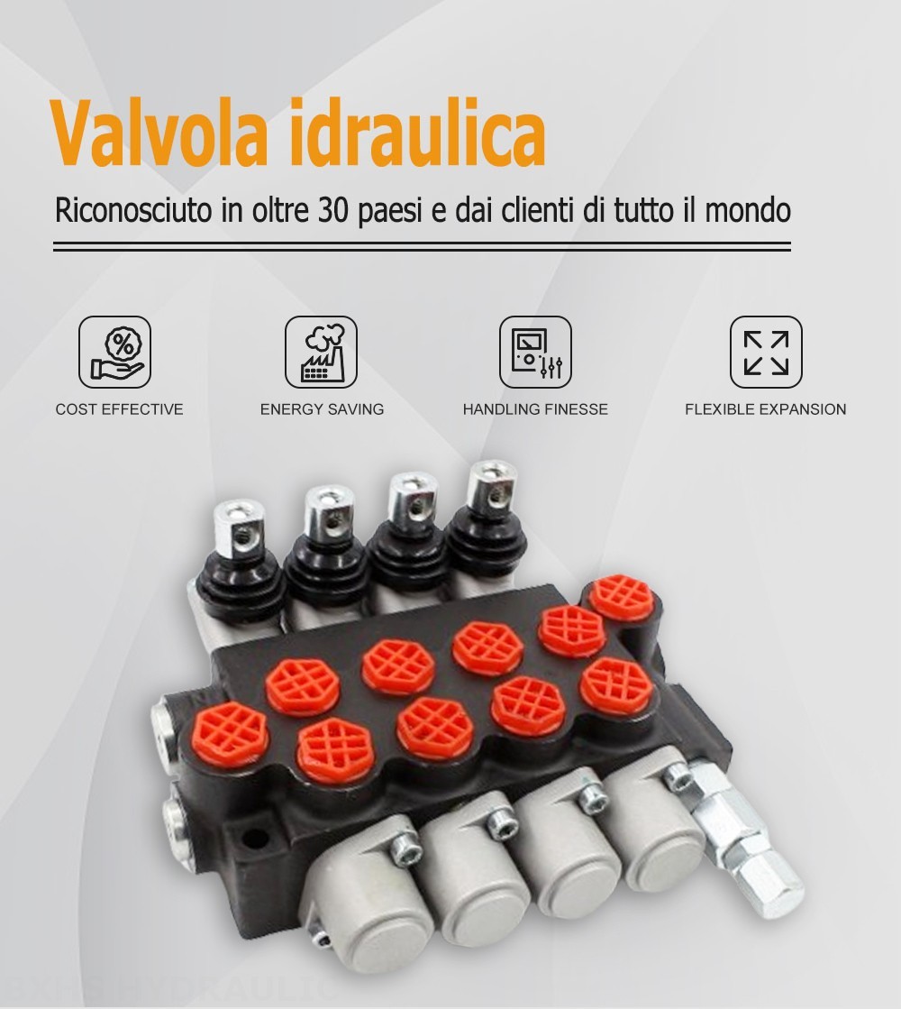 P40-G38 Manuale 4 Spool Valvola direzionale monoblocco