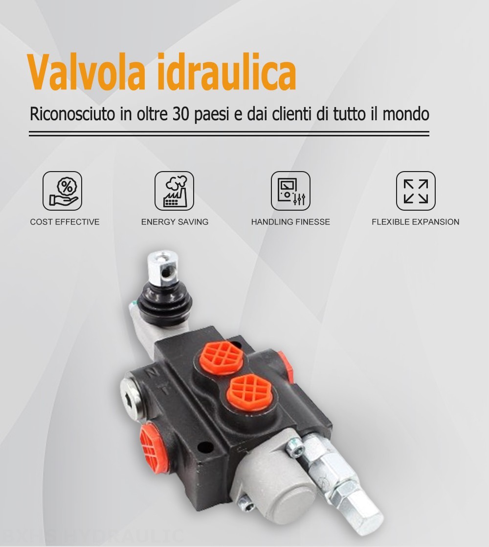 P40-OT Manuale 1 Spool Valvola direzionale monoblocco