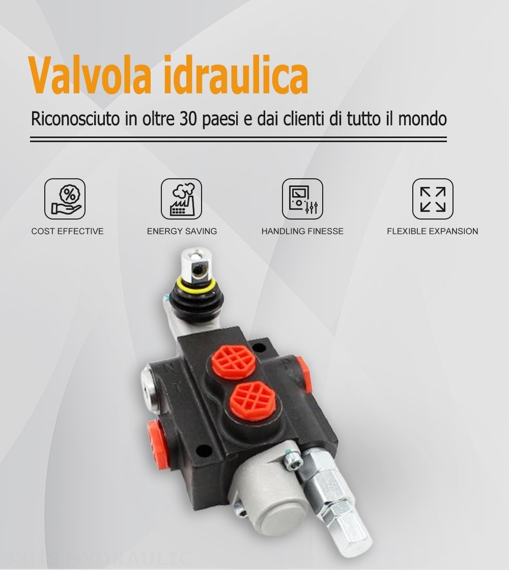 P40-OW Manuale 1 Spool Valvola direzionale monoblocco