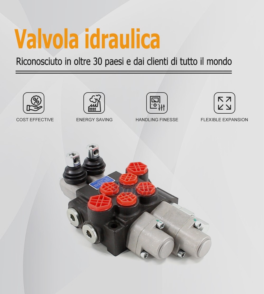 P40 Series 2 Spool Manual Directional Control Valve
