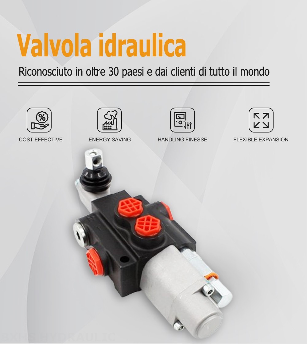 P40-QTW1 Manuale 1 Spool Valvola direzionale monoblocco