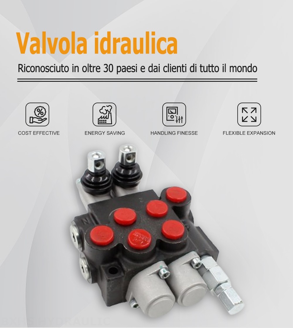 P40-U34-2OT Manuale 2 Spool Valvola direzionale monoblocco