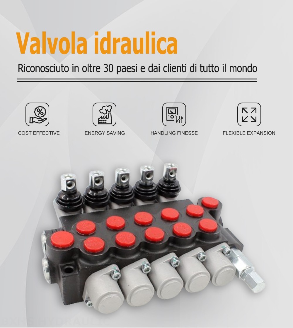 P40-U34-U78 Manuale 5 Spool Valvola direzionale monoblocco