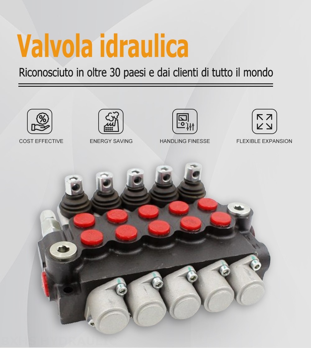 P40-U34-U78 Manuale 5 Spool Valvola direzionale monoblocco