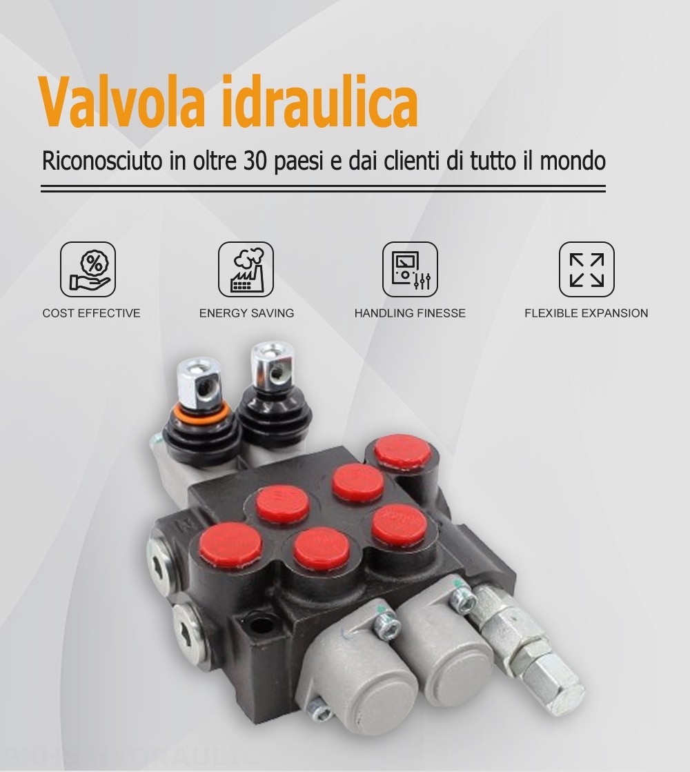 P40-U78-U34-OT-YW Manuale 2 Spool Valvola direzionale monoblocco