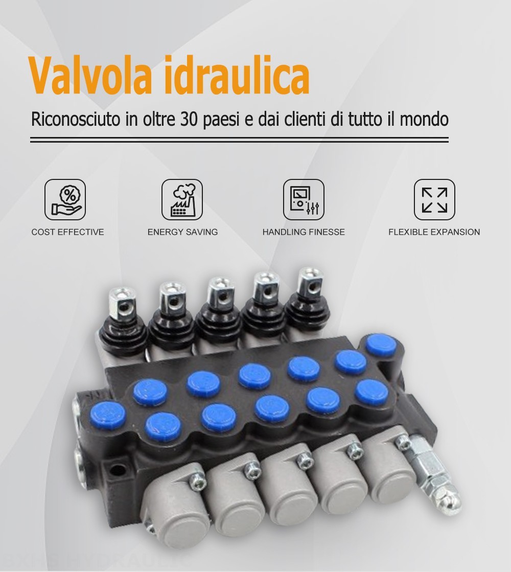 P40-U78 Manuale 5 Spool Valvola direzionale monoblocco