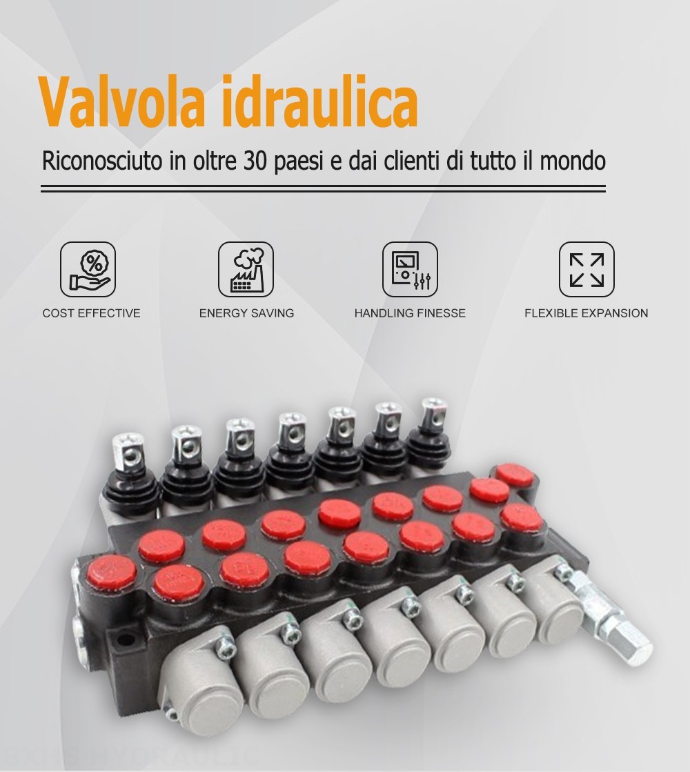 P40-U78 Manuale 7 Spool Valvola direzionale monoblocco