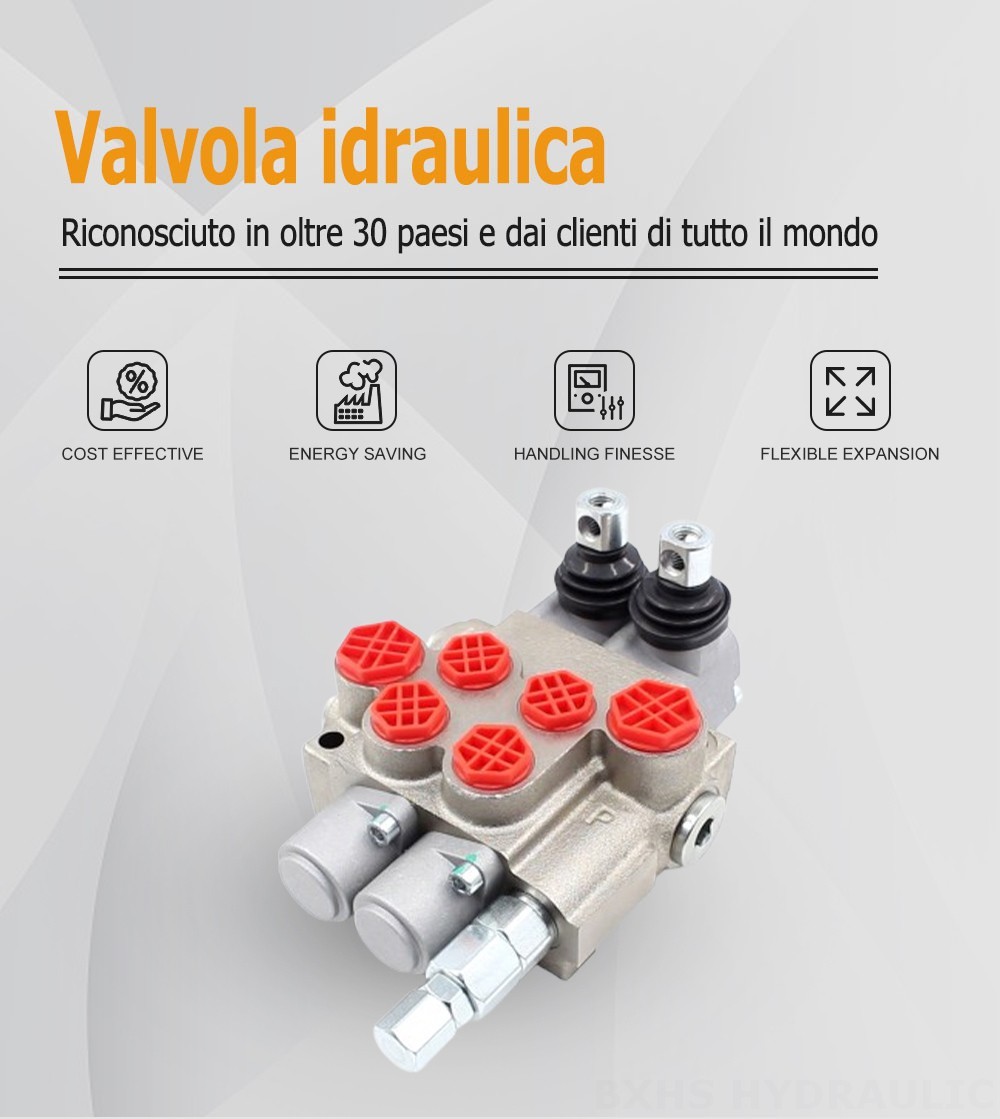 P40-XNHJ Manuale 2 Spool Valvola direzionale monoblocco