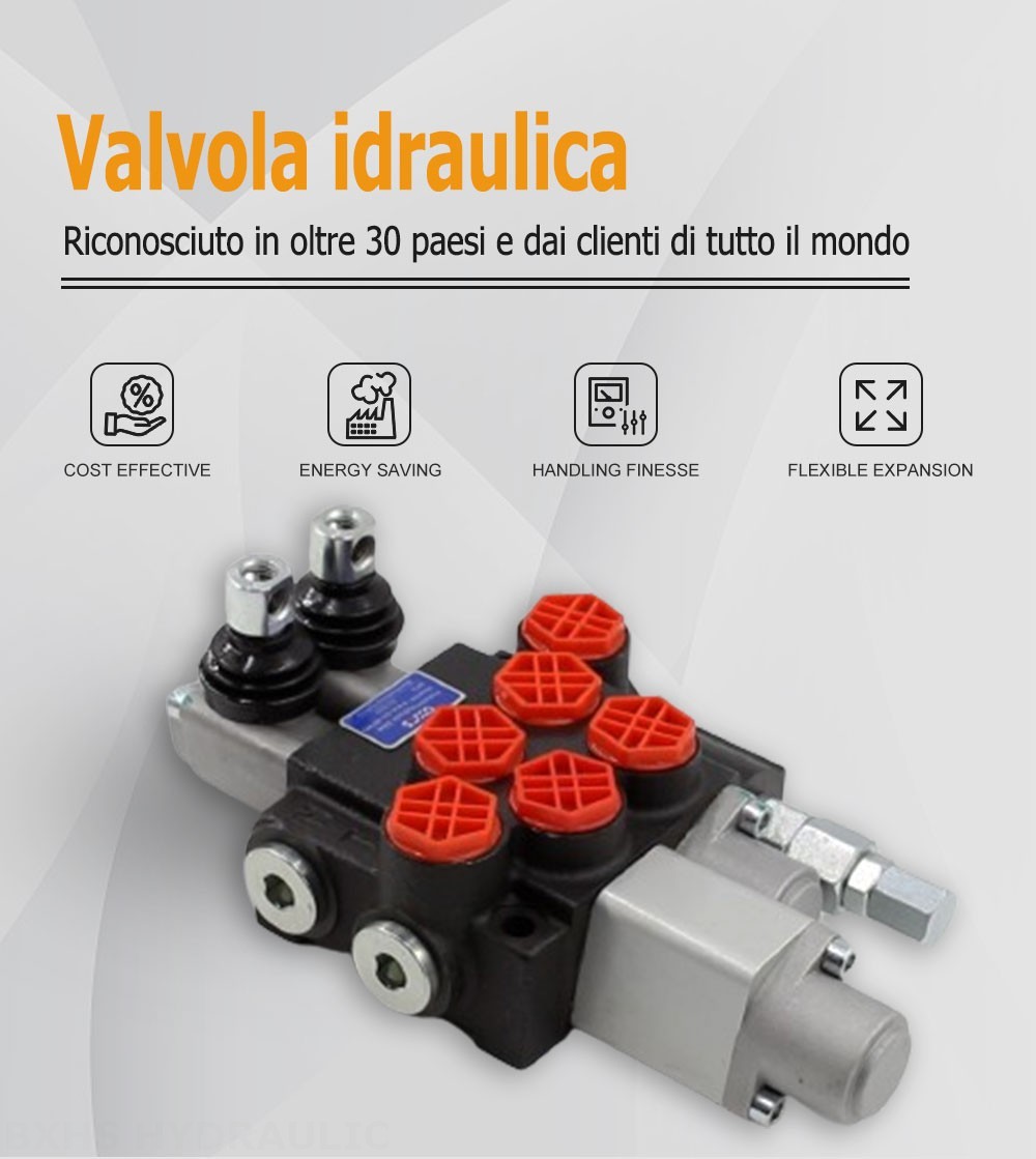 P40A Manuale 2 Spool Valvola direzionale monoblocco