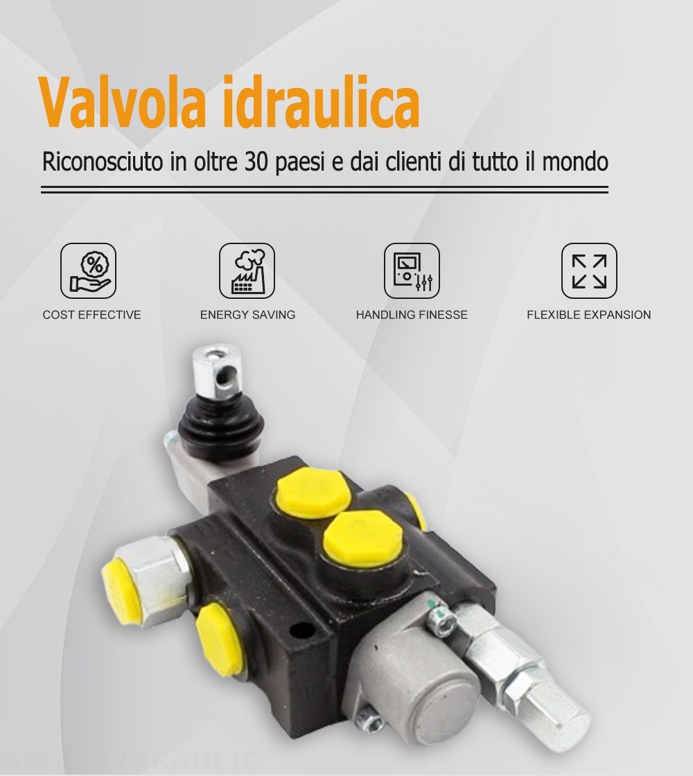 P40J Manuale 1 Spool Valvola direzionale monoblocco