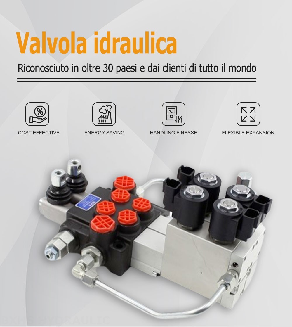 P40 Elettroidraulico 2 Spool Valvola direzionale monoblocco