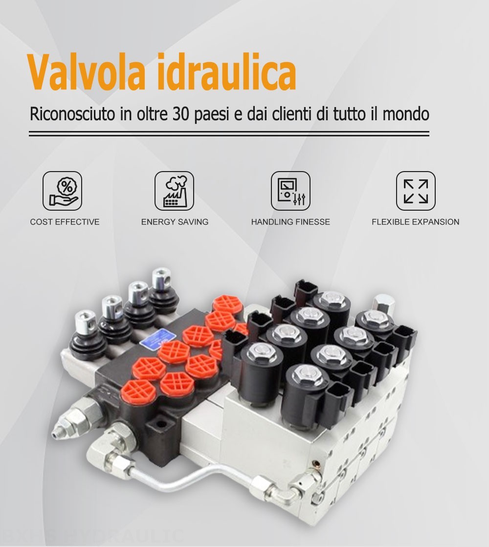 P40 Elettroidraulico 4 Spool Valvola direzionale monoblocco