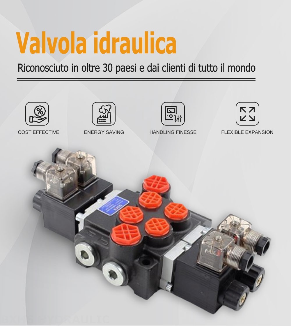 P40 Solenoide 2 Spool Valvola direzionale monoblocco