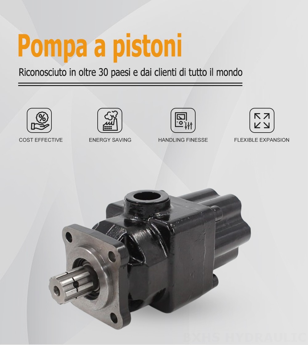 P6-40 40 cc/rev Pompa a pistoni idraulica