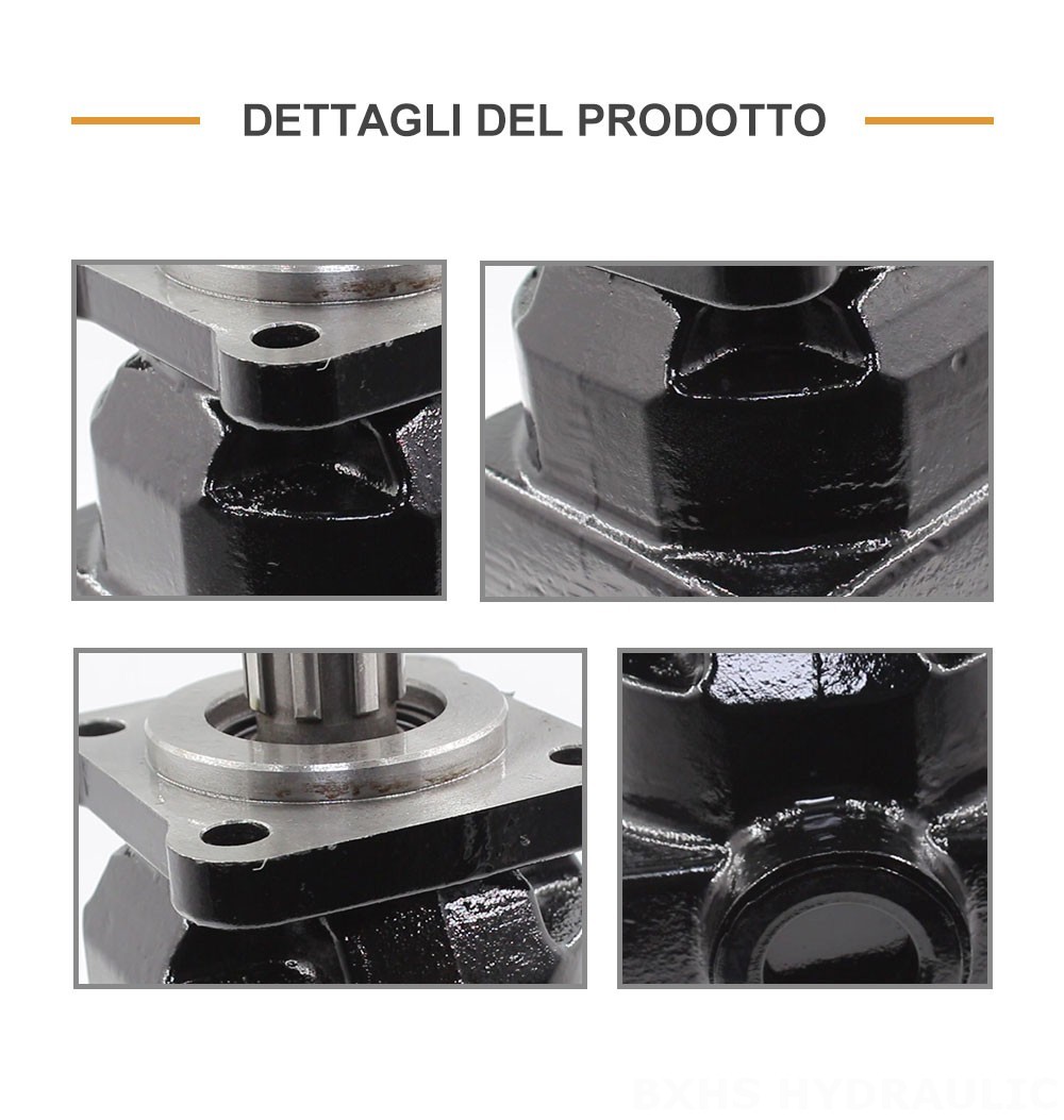 P6-40 40 cc/rev Pompa a pistoni idraulica