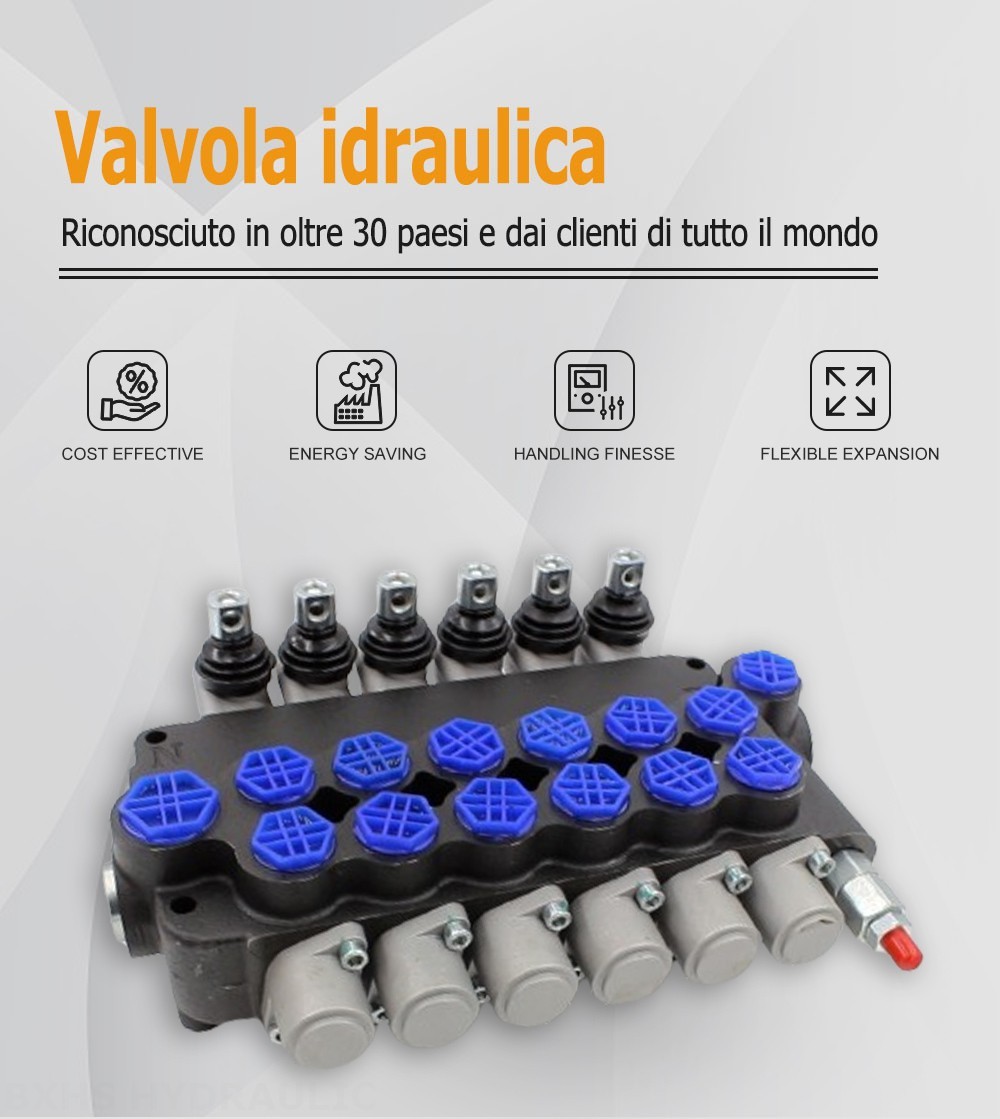 P80-AQF-G12-G34-OT Manuale 6 Spool Valvola direzionale monoblocco