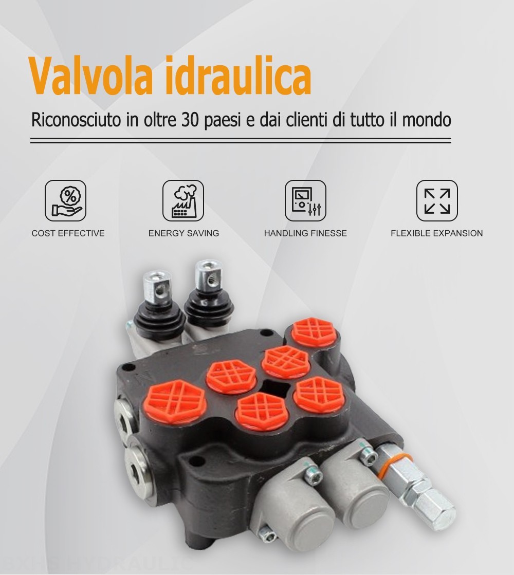 P80-AQF-G34-G12-2OT Manuale 2 Spool Valvola direzionale monoblocco