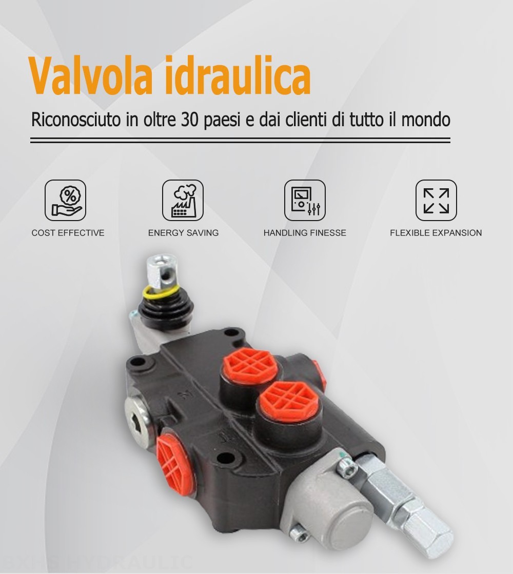 P80-G12-1OW Manuale 1 Spool Valvola direzionale monoblocco