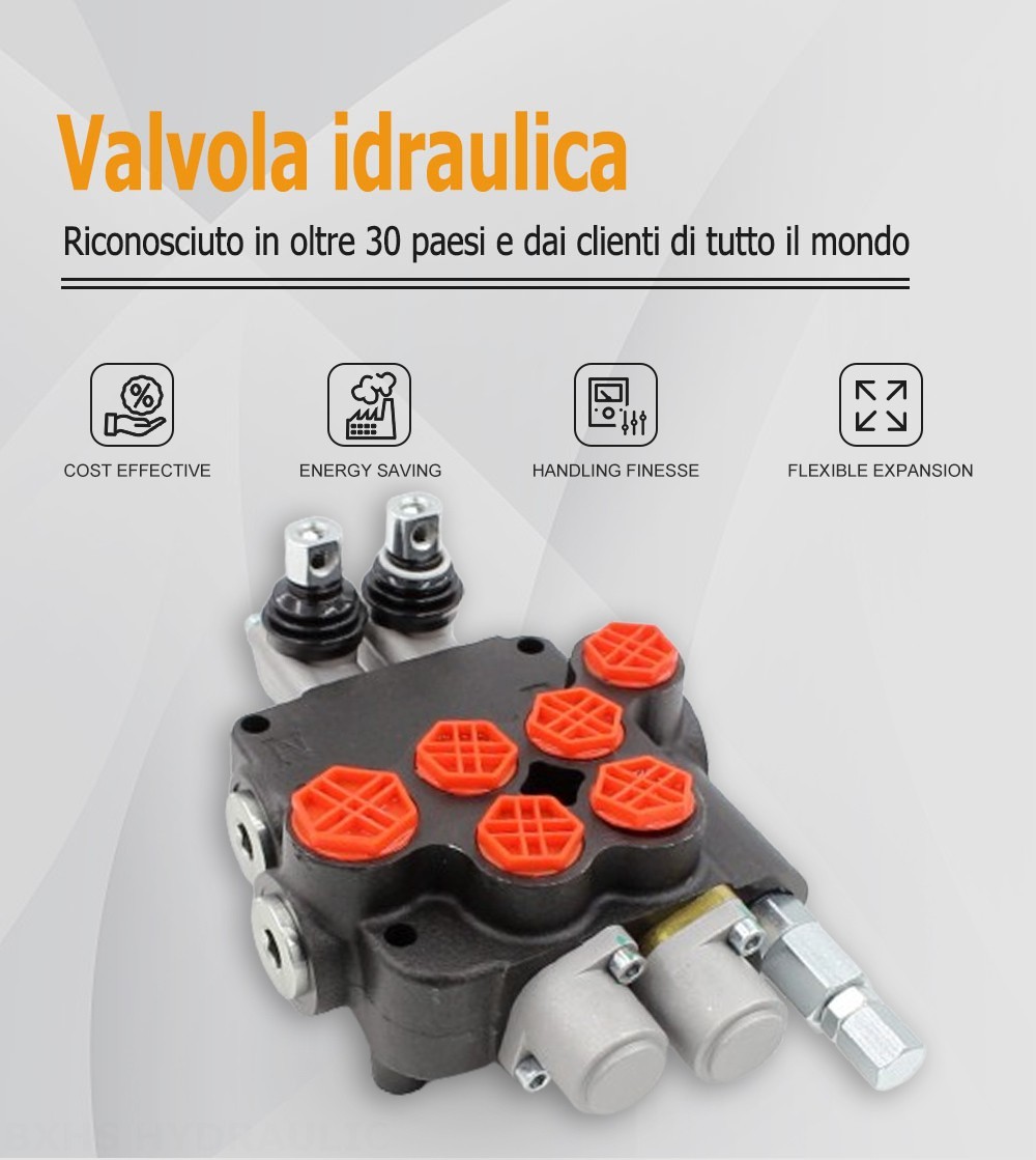 P80-G12-G34-2OT Manuale 2 Spool Valvola direzionale monoblocco