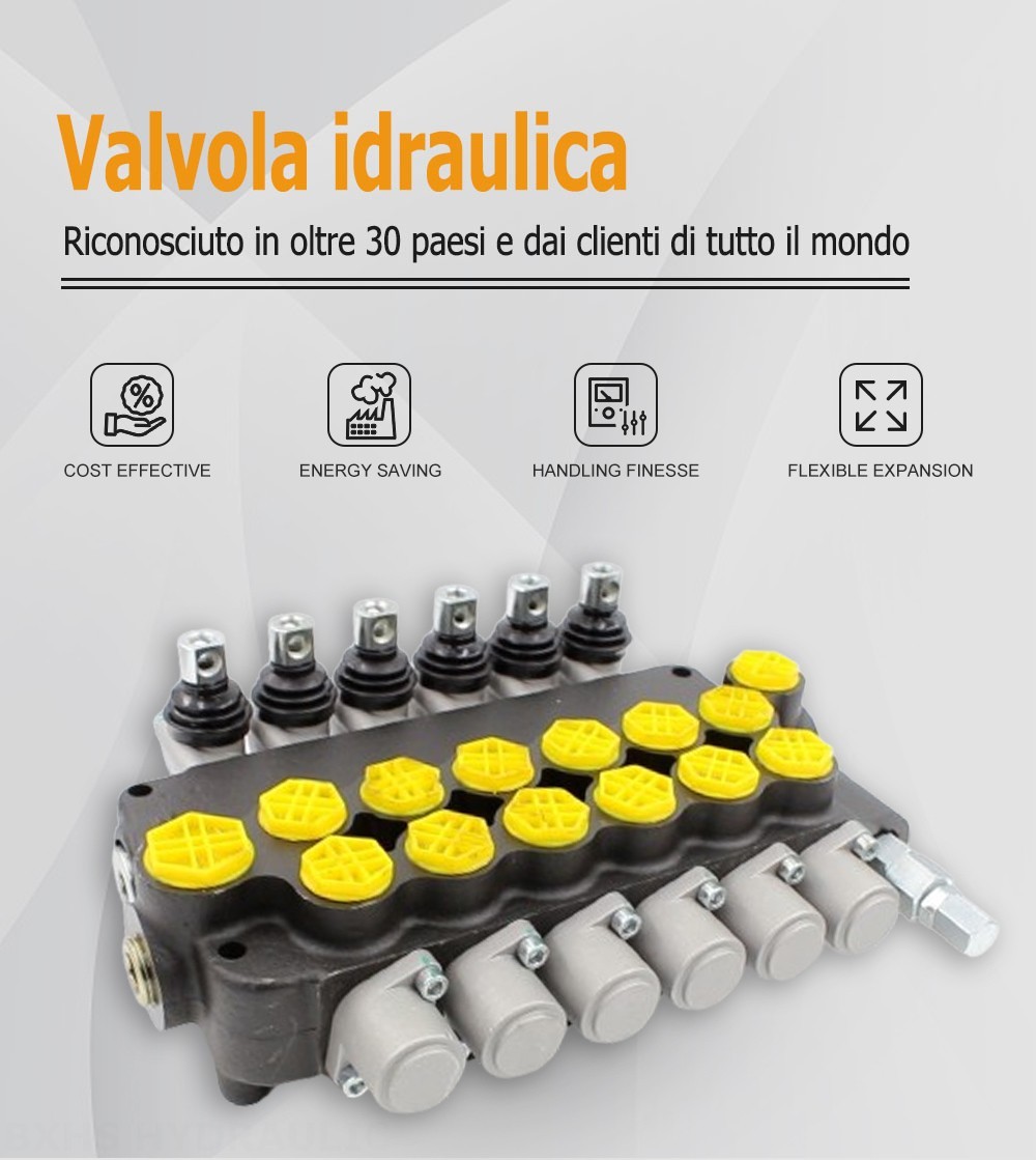 P80-G12-G34-6OT Manuale 6 Spool Valvola direzionale monoblocco