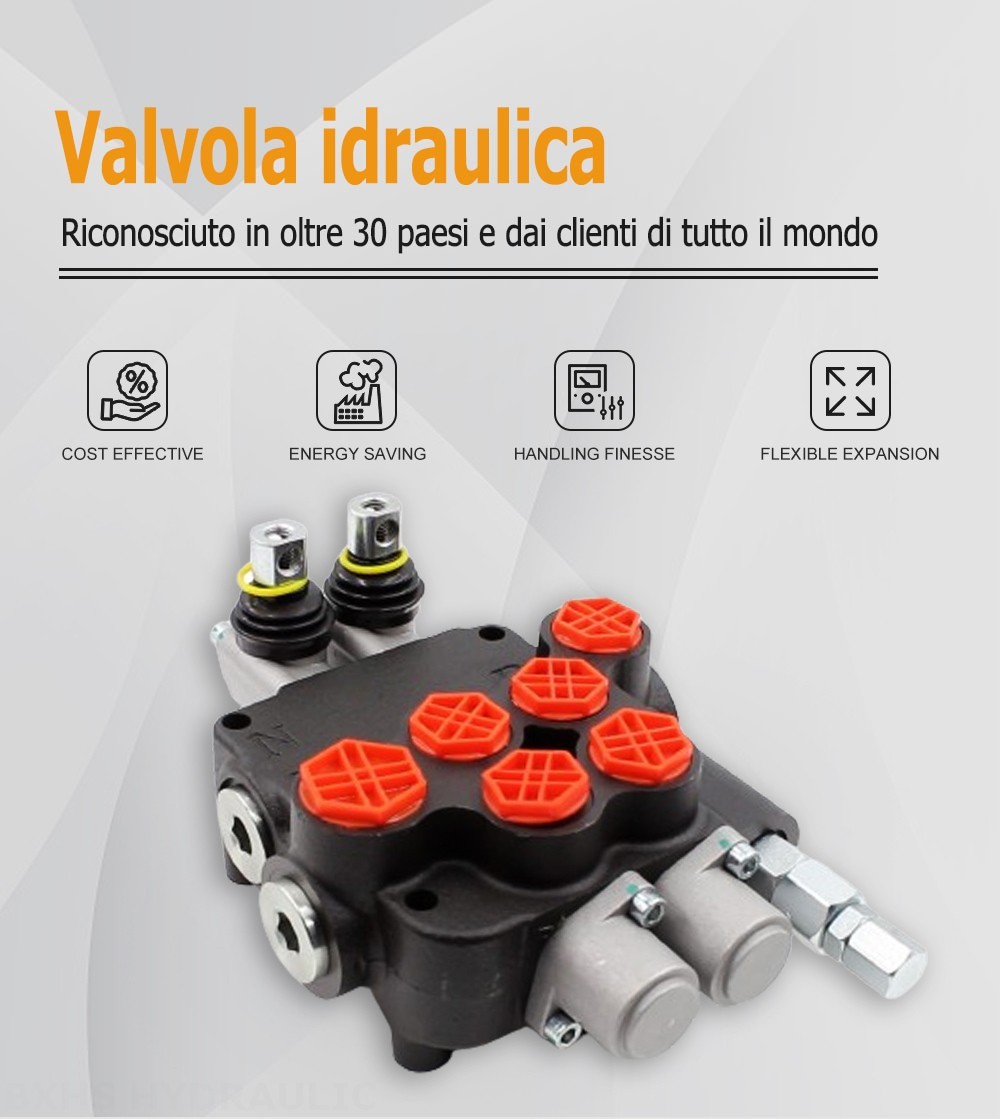 P80-G12-G34-OW Manuale 2 Spool Valvola direzionale monoblocco