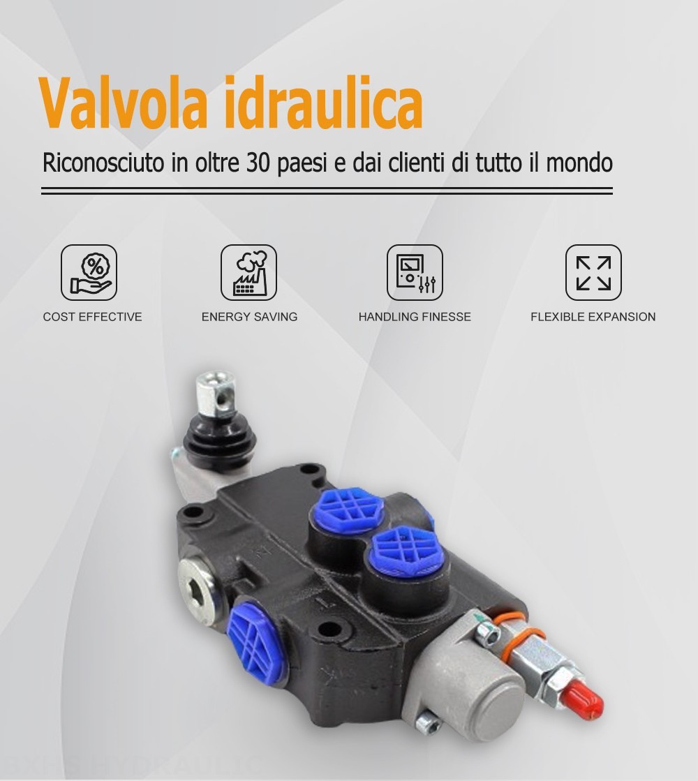 P80-G12-G34 Manuale 1 Spool Valvola direzionale monoblocco