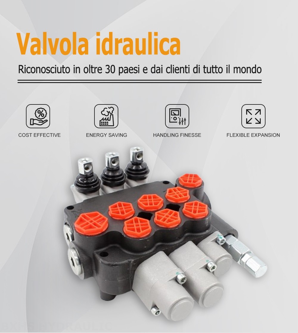 P80-G12-G34 Manuale 2 Spool Valvola direzionale monoblocco