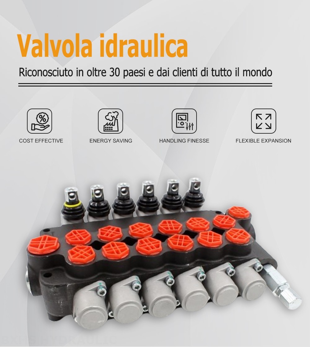 P80-G12-G34 Manuale 6 Spool Valvola direzionale monoblocco