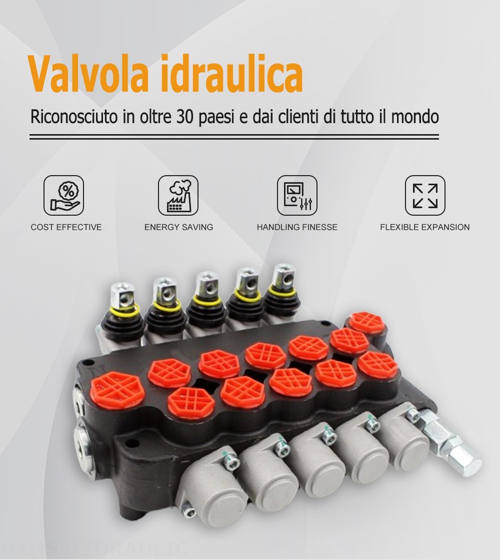 P80-G12-G38-OW Manuale 5 Spool Valvola direzionale monoblocco