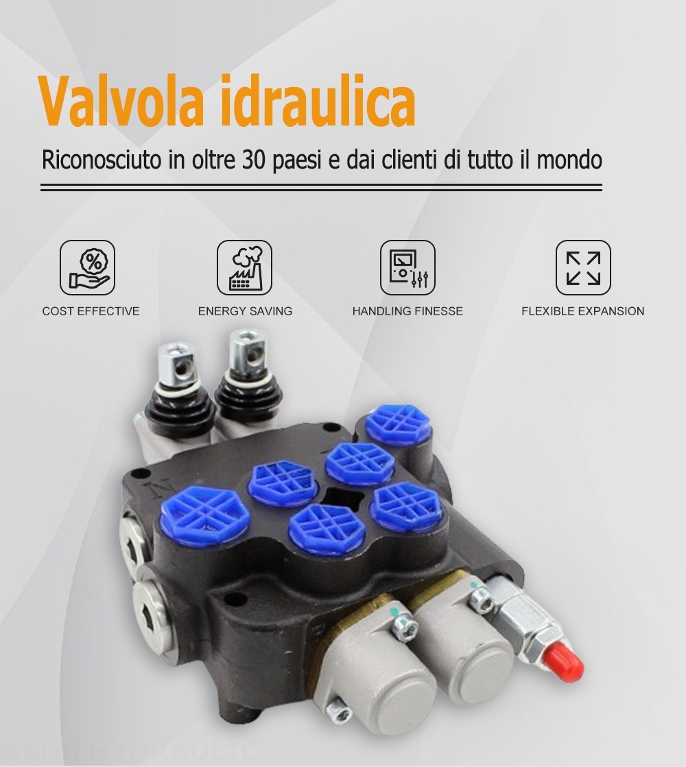 P80-G12-G38-QW Manuale 2 Spool Valvola direzionale monoblocco