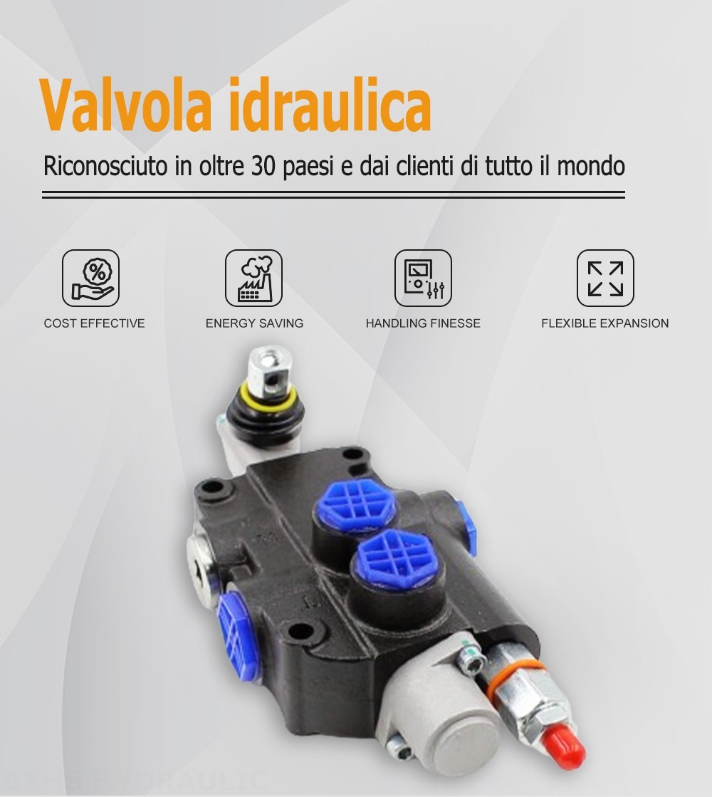 P80-G12-OW Manuale 1 Spool Valvola direzionale monoblocco