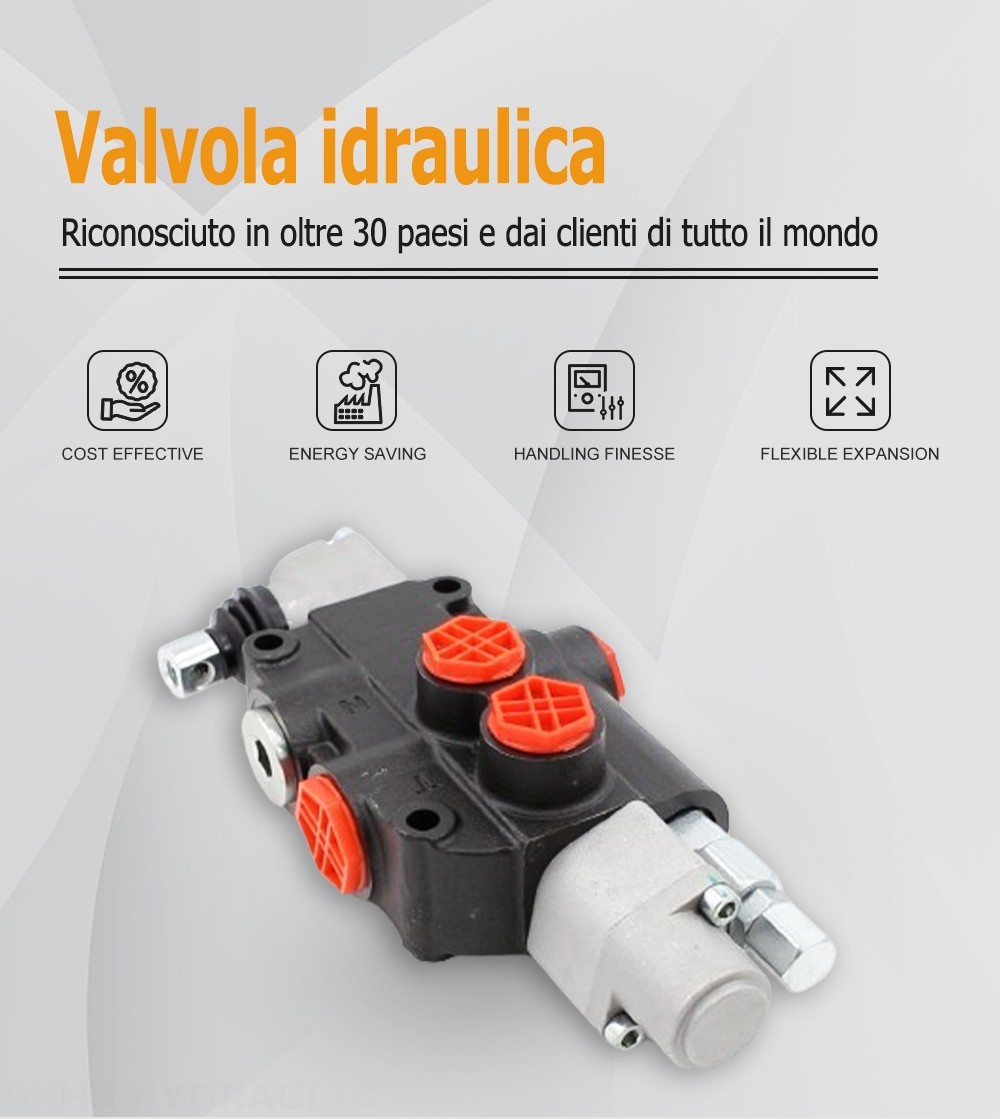 P80-G12-QTW Manuale 1 Spool Valvola direzionale monoblocco