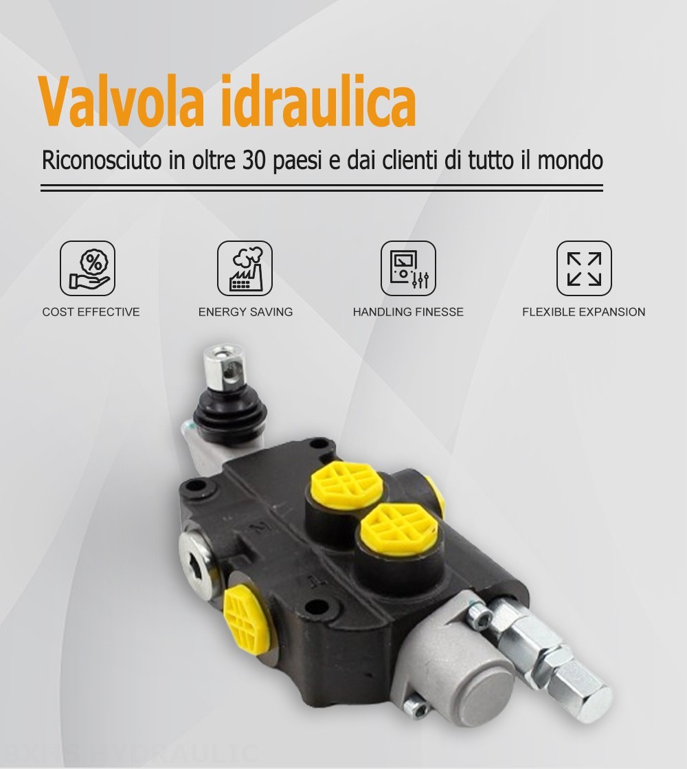 P80-G12 Manuale 1 Spool Valvola direzionale monoblocco