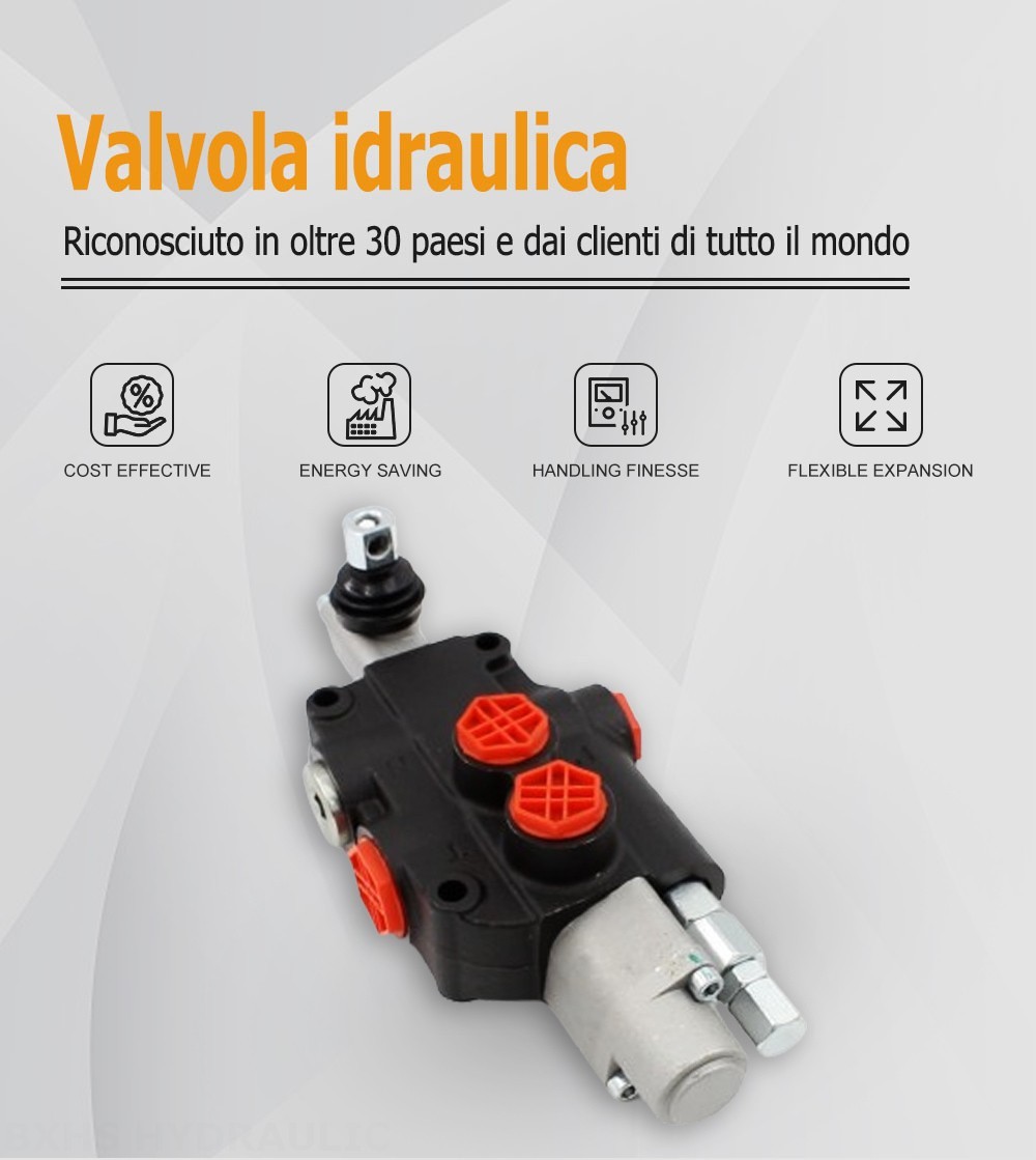 P80-G34-1OT Manuale 1 Spool Valvola direzionale monoblocco